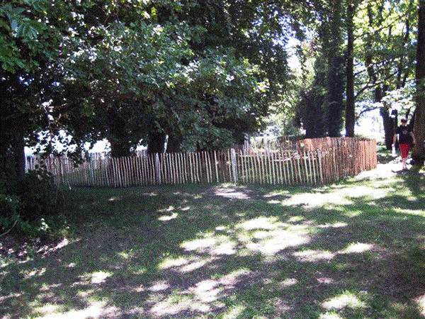 6170ad49afa51eea5a843646806871b15a8411fec30ed Kastanienholz Rollzaun