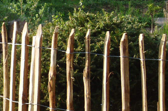 ausschnitt_staketenzaun_lattenabstand_8cm52f0e1598ced95a841d8bc7eee Staketenzaun Kastanienholz