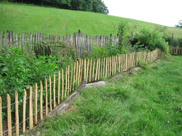 6ccf1f3b28d0c0aedad118b2d77983e35a84127be7ade 6ccf1f3b28d0c0aedad118b2d77983e3.jpg