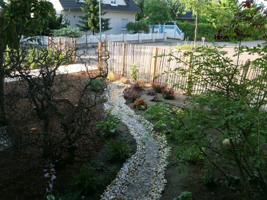 Hinterhof, Natur, Draußen, Hof, Garten