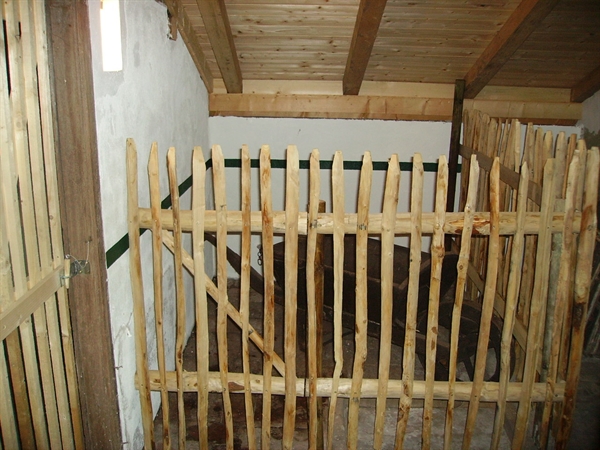 b6c5c7d250c77c36730ed81e53afc6865a8425907eb3c Kastanienstaketen