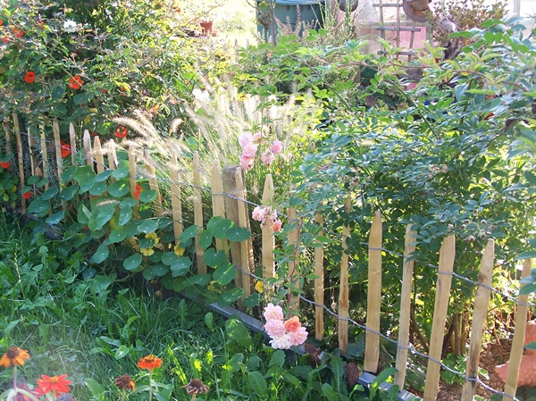 4901376a42464a04531fd25a29bd0b9f5a841283e05b0 4901376a42464a04531fd25a29bd0b9f.jpg