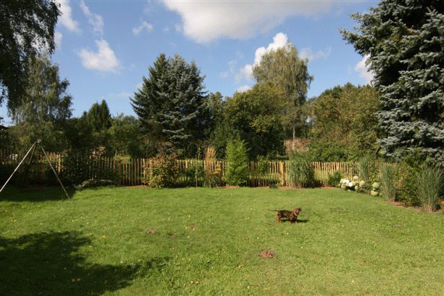 dbd3f54af37fa371d32b77b25a6191f25a8418d9923cd Kastanien Staketenzaun