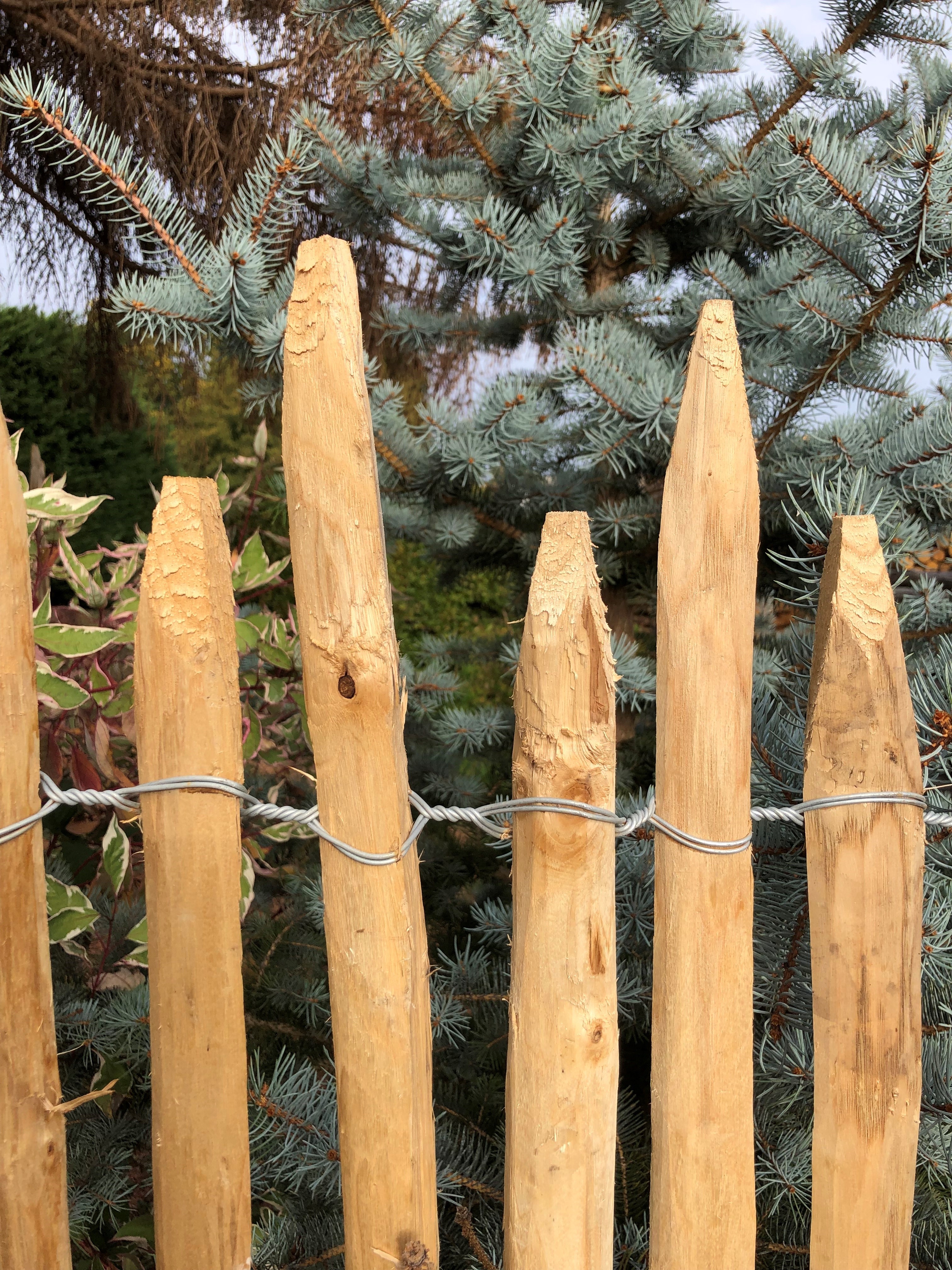 Staketenzaun Bergerac Höhe: 1,00 m Lattenabstand 2-3 cm Rolle 5m Sichtschutz Kastanie Rolle 5m. Staketenzaun Bergerac Höhe: 1,00 m Lattenabstand 2-3 cm Rolle 5m Sichtschutz Kastanie Rolle 5m.