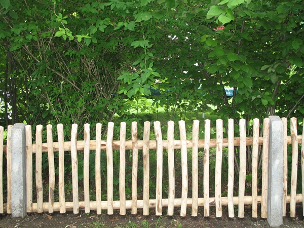 c5ba3c0961d401da202150339d1d09d25a8415b8af866 c5ba3c0961d401da202150339d1d09d2.jpg