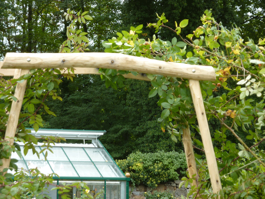 7bcd6dbe17cddd145d8ded07d017ef525a84198448fbd selbstgebauter Rosenbogen aus Kastanienholz