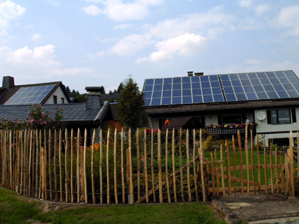 Natur, Draußen, Hof