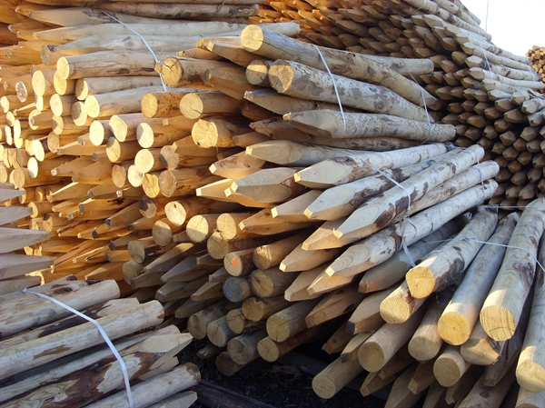 316e902469579b586099e33b2be158ab5a84151dc57f9 Holzpfahl Edelkastanie