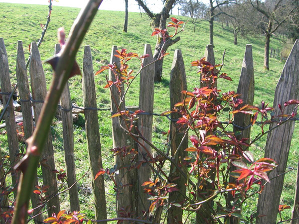 c6aebbc3a18577a9b33f5331cf86b8bd5a841fe9504f7 c6aebbc3a18577a9b33f5331cf86b8bd.jpg