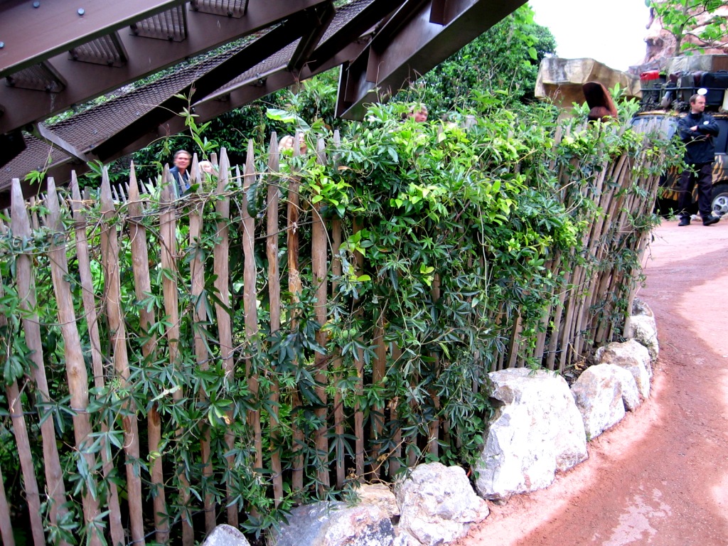 IMG_04675a841eb45a149 Staketenzaun Phantasialand Black Mamba