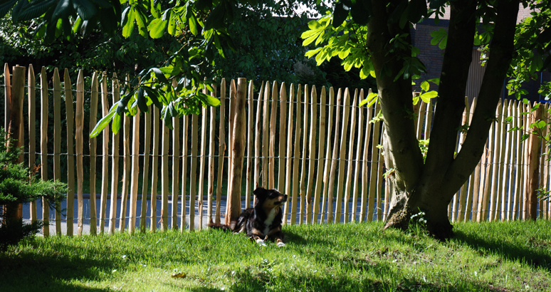 staketenzaun-120-5-774x410-00955def91fb50b0