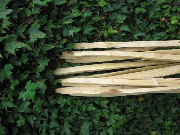 48155e04dde74e7a31f3aa34db1b5a6d5a8424d409881 48155e04dde74e7a31f3aa34db1b5a6d.jpg